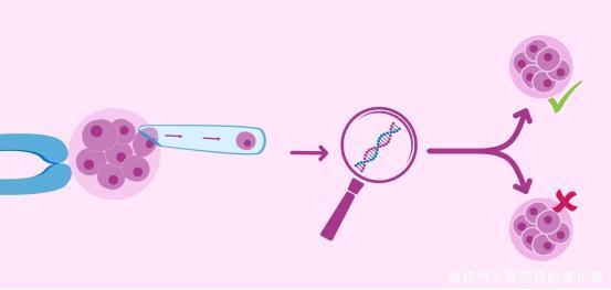 生殖医学伦理与法律研究：有偿捐卵合法性评估