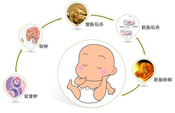 生殖医学中的伦理和法律：天水捐卵费用分析